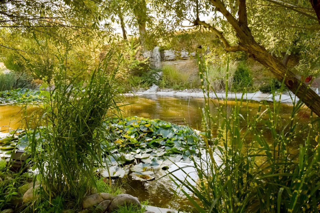 La Campagne St Lazare - Restaurant Chambres d'Hôtes Piscine&SPA Forcalquier Exterior foto